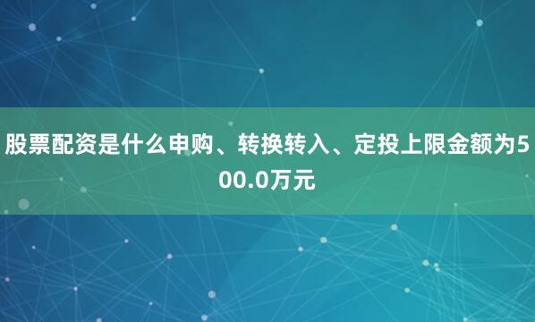 股票配资是什么申购、转换转入、定投上限金额为500.0万元