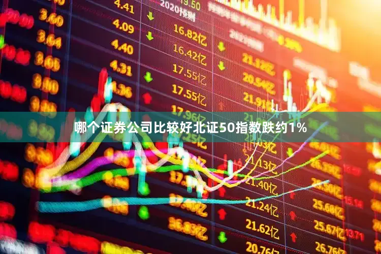 哪个证券公司比较好北证50指数跌约1%