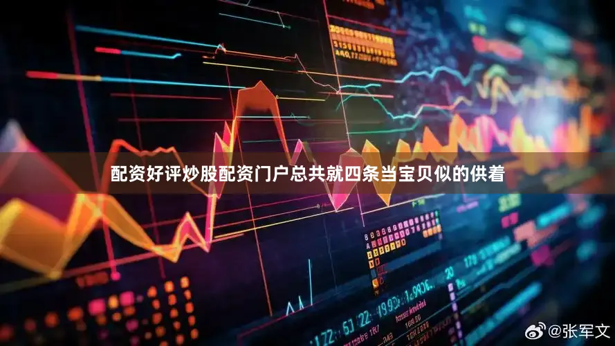 配资好评炒股配资门户总共就四条当宝贝似的供着