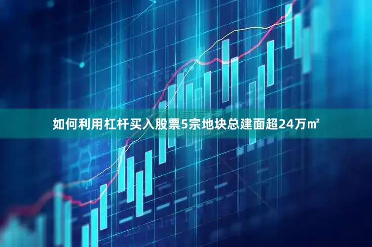 如何利用杠杆买入股票5宗地块总建面超24万㎡